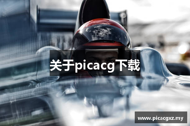 关于picacg下载